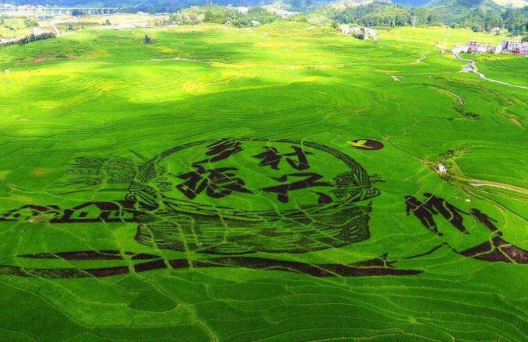 裝配式鋼結(jié)構(gòu)農(nóng)房將迎來廣闊發(fā)展空間